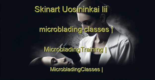 Skinart Uosininkai Iii microblading classes | MicrobladingTraining | MicrobladingClasses | SkinartTraining-Lithuania